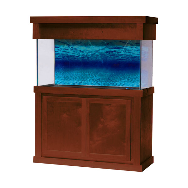 Aquarium Wayfair